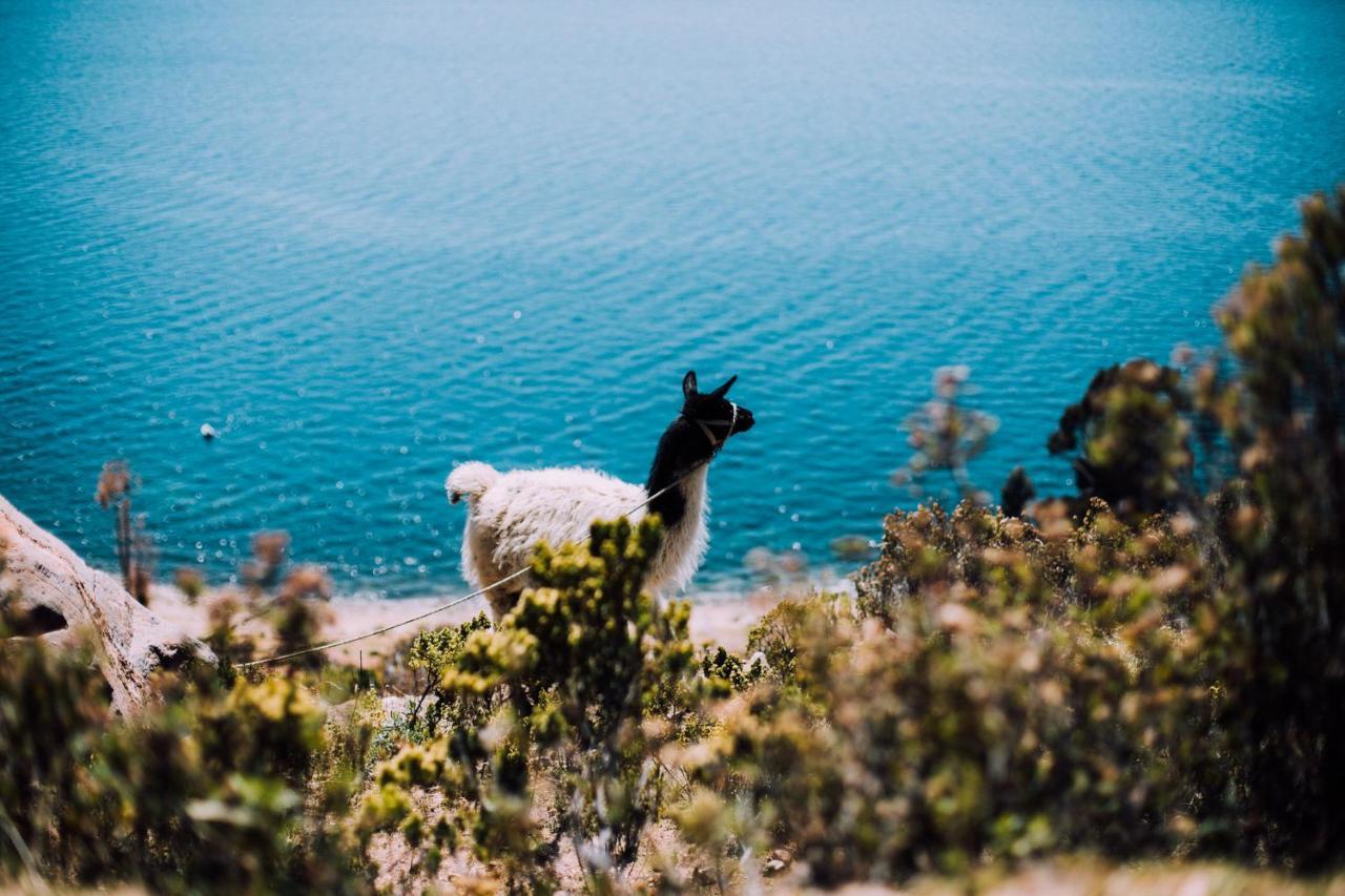 Ecolodge La Estancia Comunidad Yumani Kültér fotó